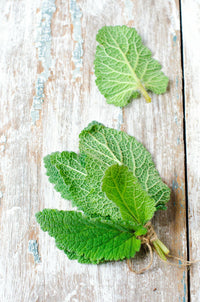Essential Oil - Clary Sage 12 ml